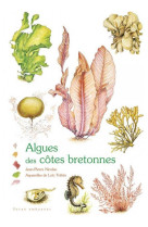 Algues des cotes bretonnes
