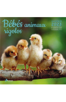 Calendrier bebes animaux rigolos 2023